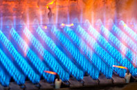 Brithdir gas fired boilers